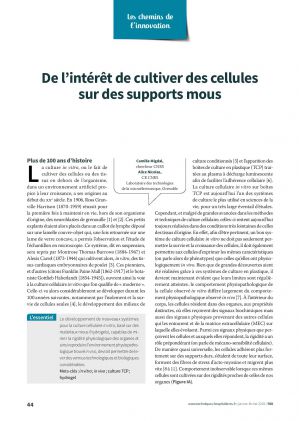 De l’intérêt de cultiver des cellules sur des supports mous